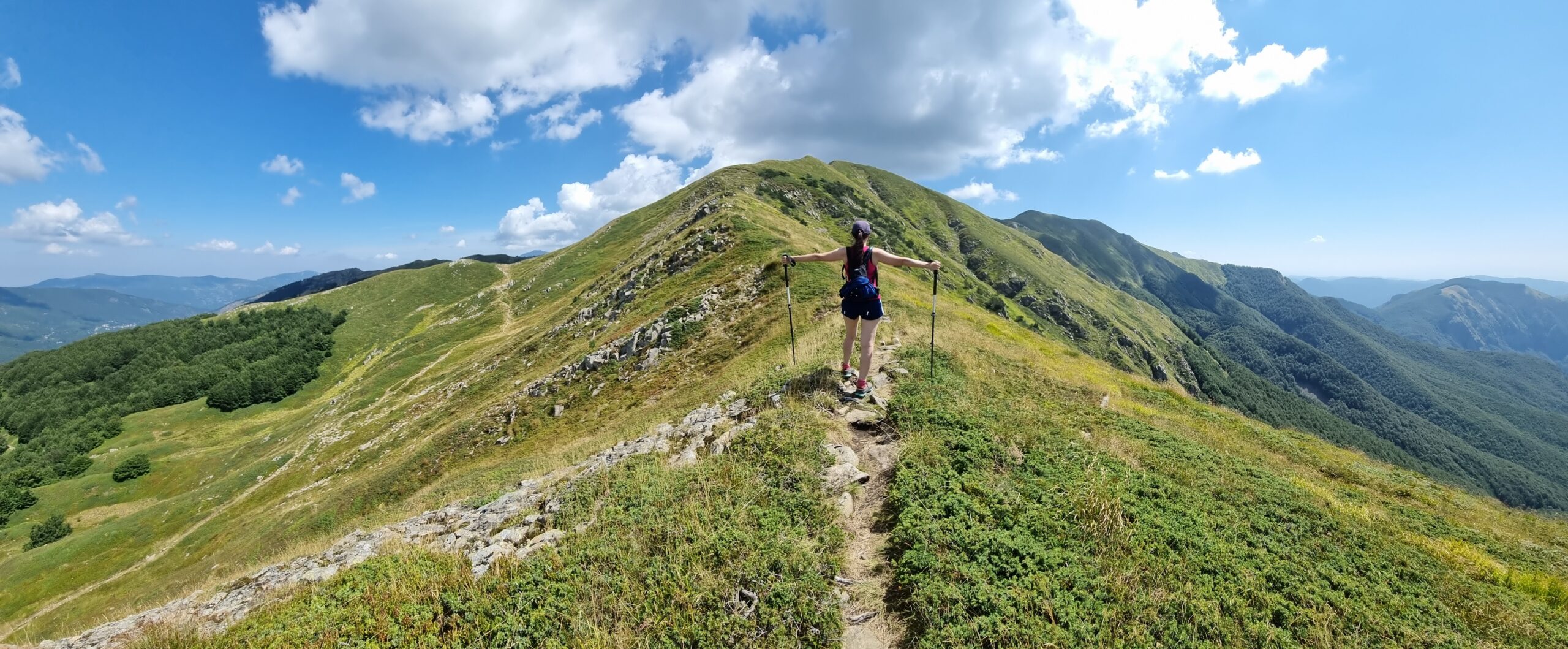 progetto echi di flora montagna