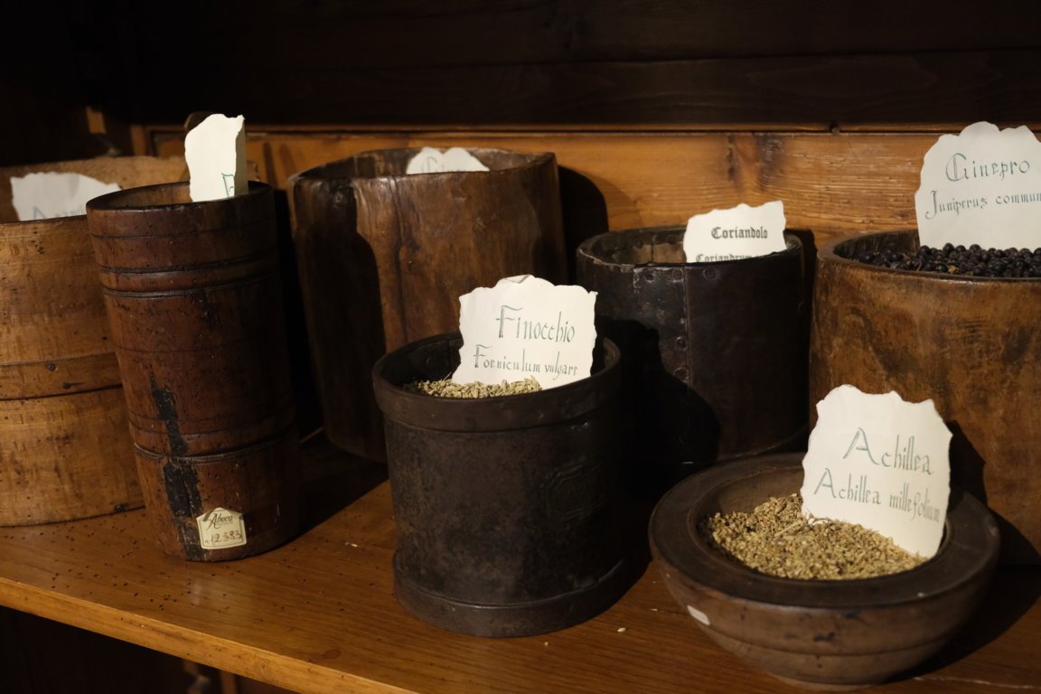 Echi di Flora percorsi nutrizione olistica salute erbe aromatiche