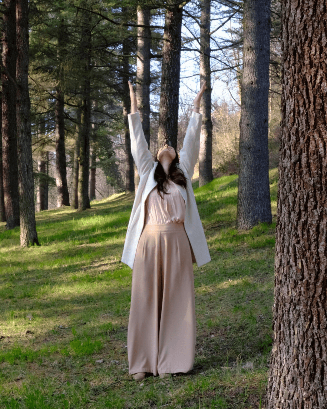 Echi di Flora Monica Marzocchi calma e presenza natura